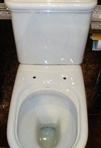 Asiento inodoro FLAVIA COMPATIBLE tapawc GLOBO