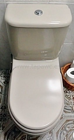 Asiento ALTAIR tapawc compatible Jacob Delafon AMORTIGUADO