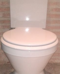 Asiento inodoro REFLEX fijo tapawc compatible Unisan Sanindusa AMORTIGUADO