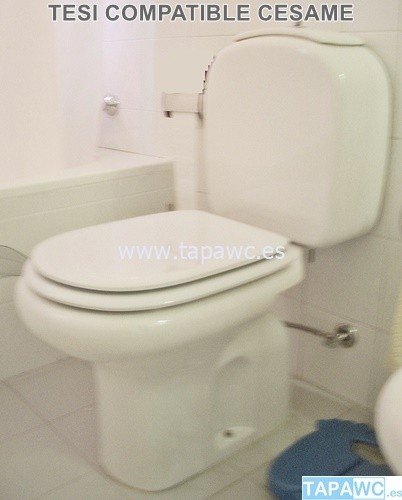 Asiento inodoro TESI tapawc compatible Ideal Standard