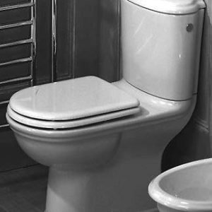 Asiento inodoro EPOQUE tapawc compatible Sangra DOLOMITE