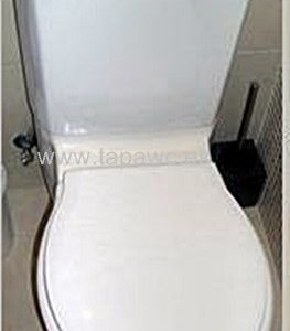 Asiento OVE tapawc compatible Jacob Delafon AMORTIGUADO