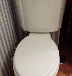 Asiento inodoro PORTRAIT tapawc compatible Jacob Delafon