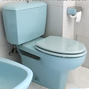 Asiento inodoro VENUS tapawc compatible Jacob Delafon