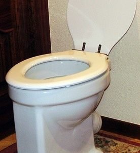 Asiento inodoro PENINSULAR tapawc compatible Roca AMORTIGUADO