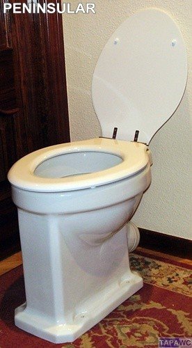 Asiento inodoro PENINSULAR tapawc compatible Roca