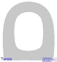 Asiento inodoro TARSIS tapawc compatible Bellavista