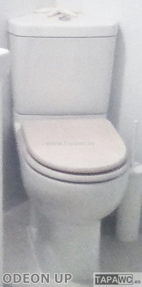 Asiento inodoro ODEON UP COMPACTO 24 tapawc compatible Jacob Delafon