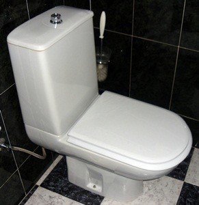 Asiento inodoro DELTA Tapawc Compatible Porsan Sangra