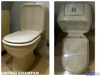 Asiento inodoro SINTESI tapawc AMORTIGUADO compatible Cesame