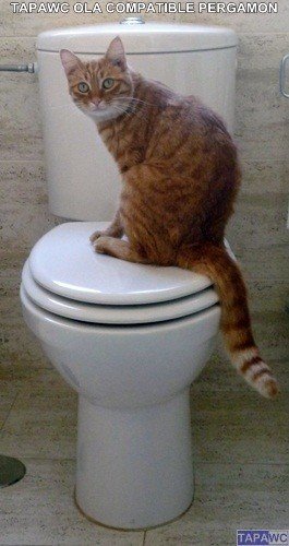 Asiento inodoro OLA tapawc compatible Jacob Delafon