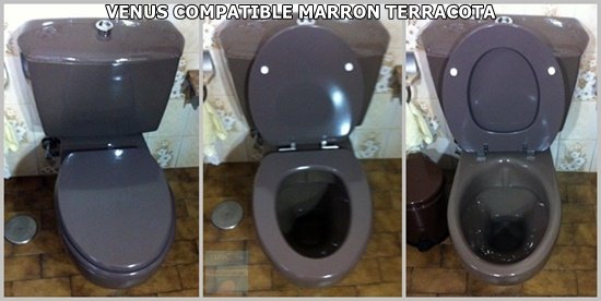 Asiento inodoro VENUS tapawc compatible Jacob Delafon AMORTIGUADO