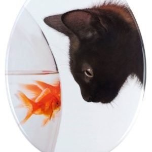 Asiento inodoro PEZ Y GATO tapawc decora (ultima)